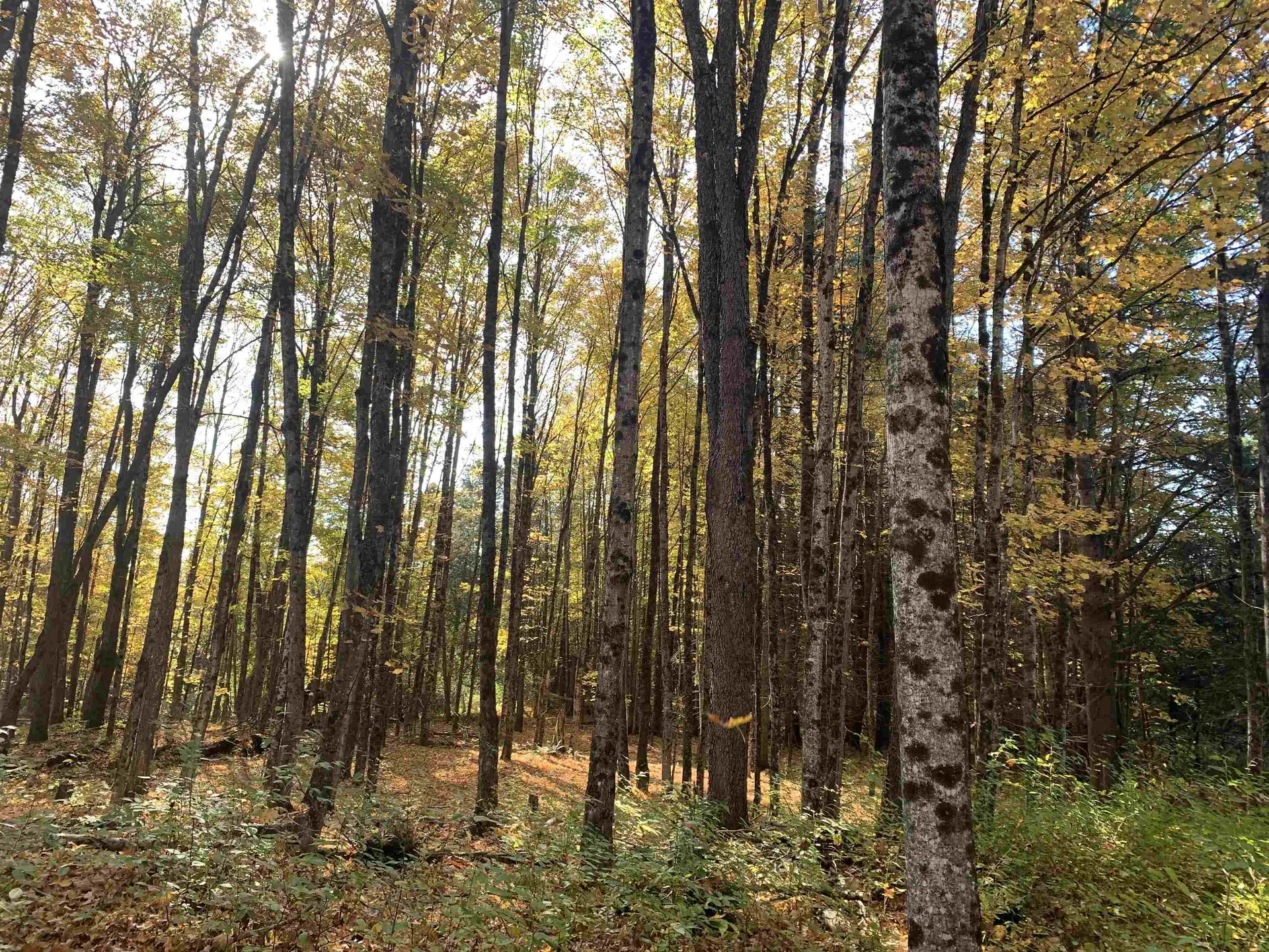 00 Vt Route 14 East Montpelier VT 05651