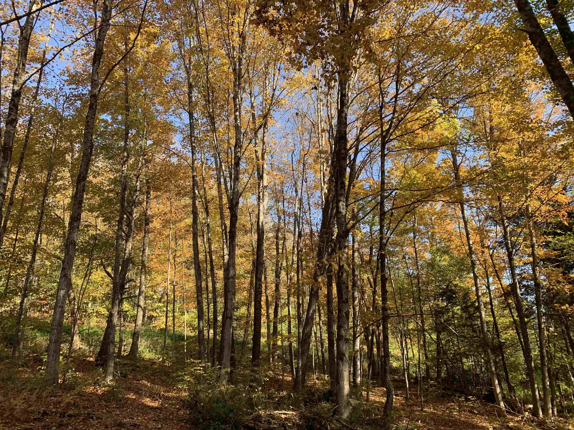 00 Vt Route 14 East Montpelier VT 05651