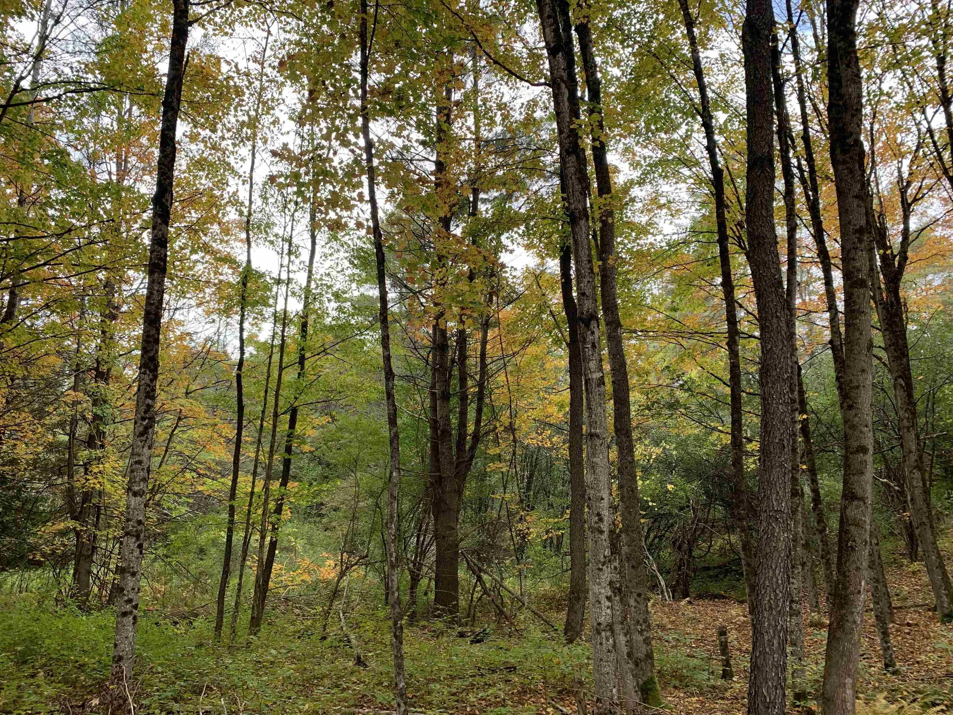 00 Vt Route 14 East Montpelier VT 05651