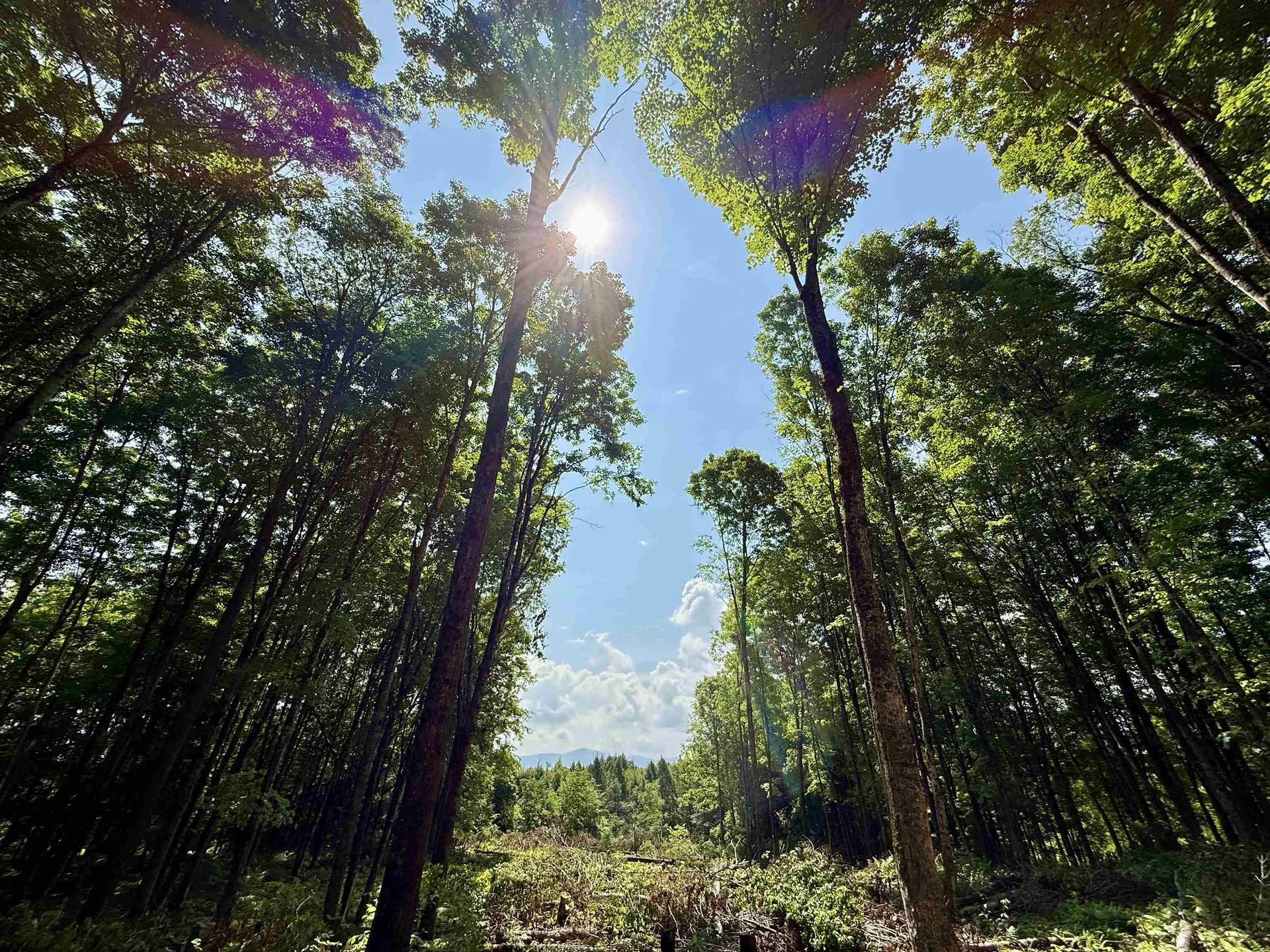 00 Vt Route 14 East Montpelier VT 05651