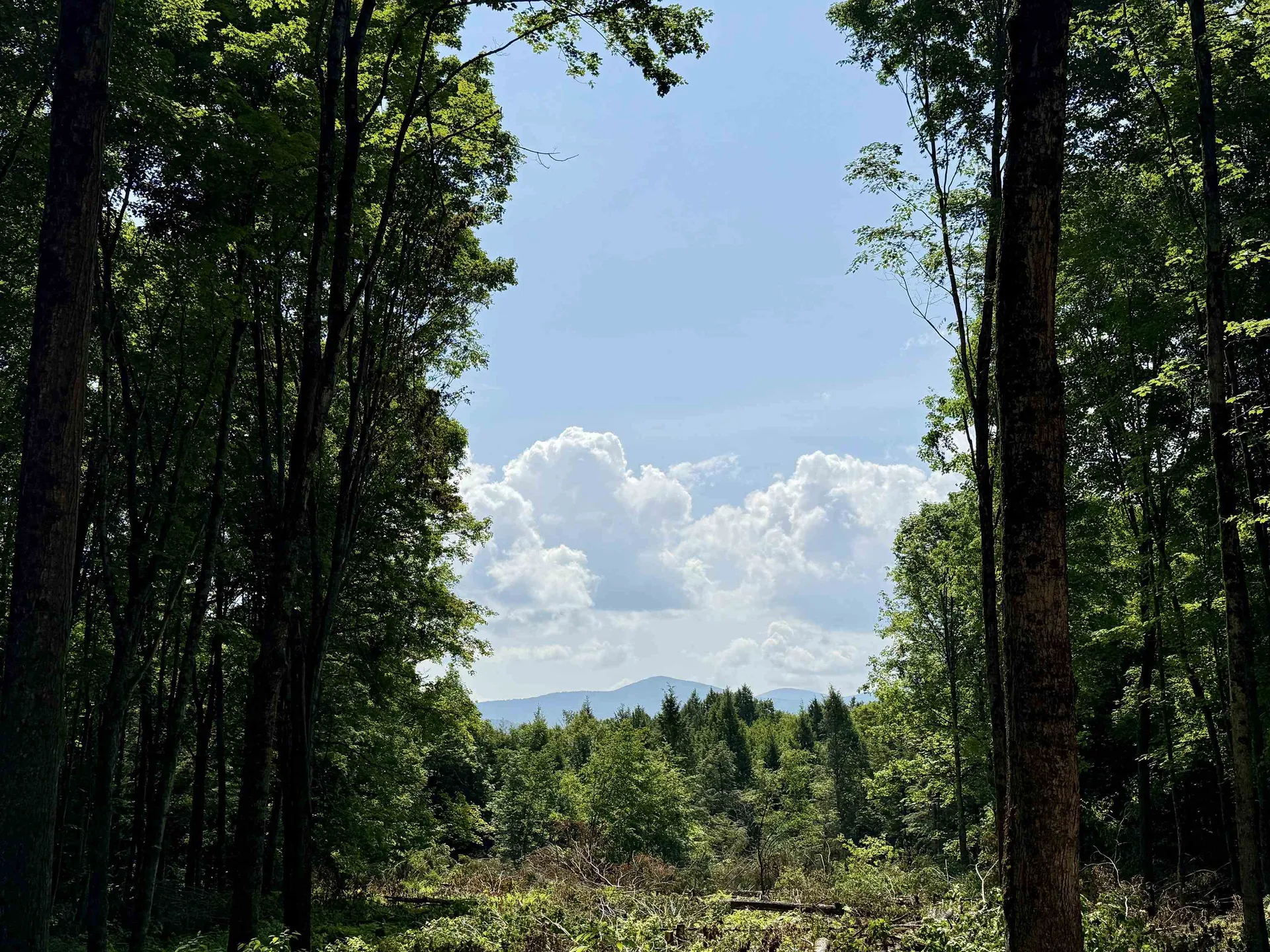 00 Vt Route 14 East Montpelier VT 05651