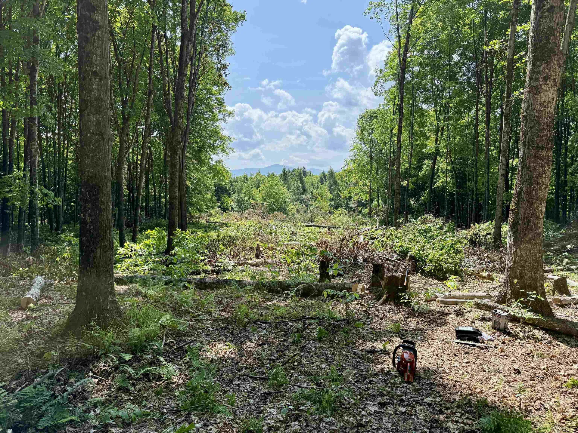 00 Vt Route 14 East Montpelier VT 05651