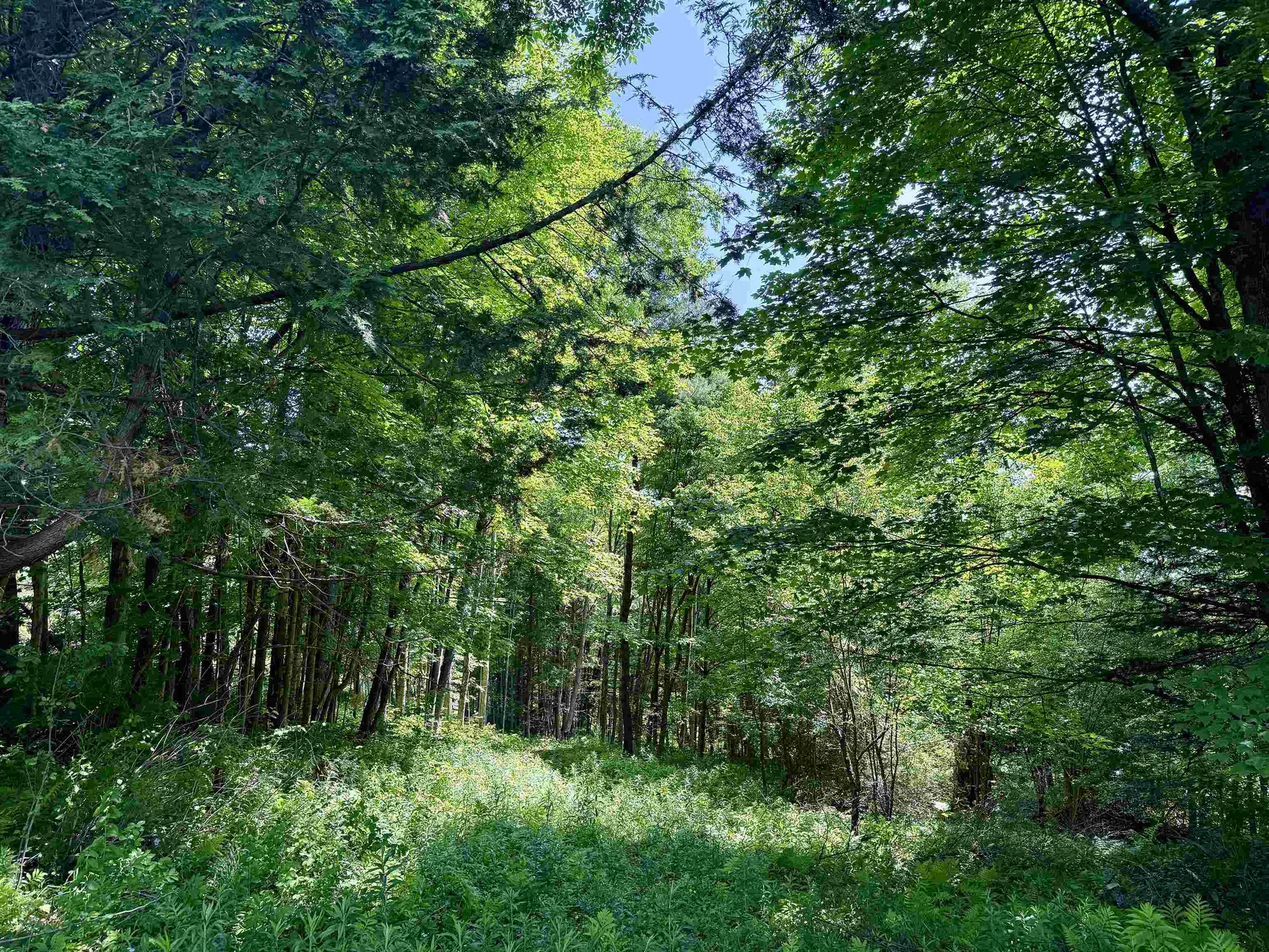 00 Vt Route 14 East Montpelier VT 05651