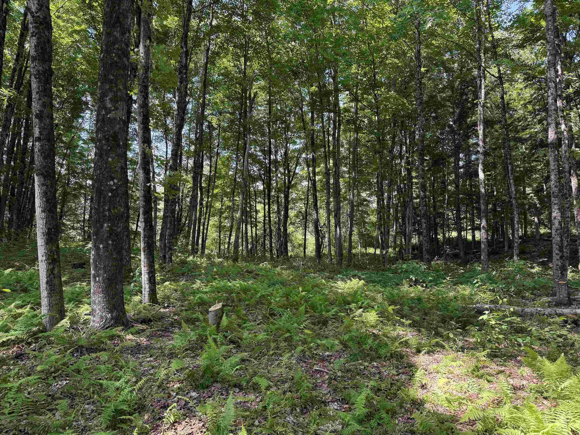 00 Vt Route 14 East Montpelier VT 05651