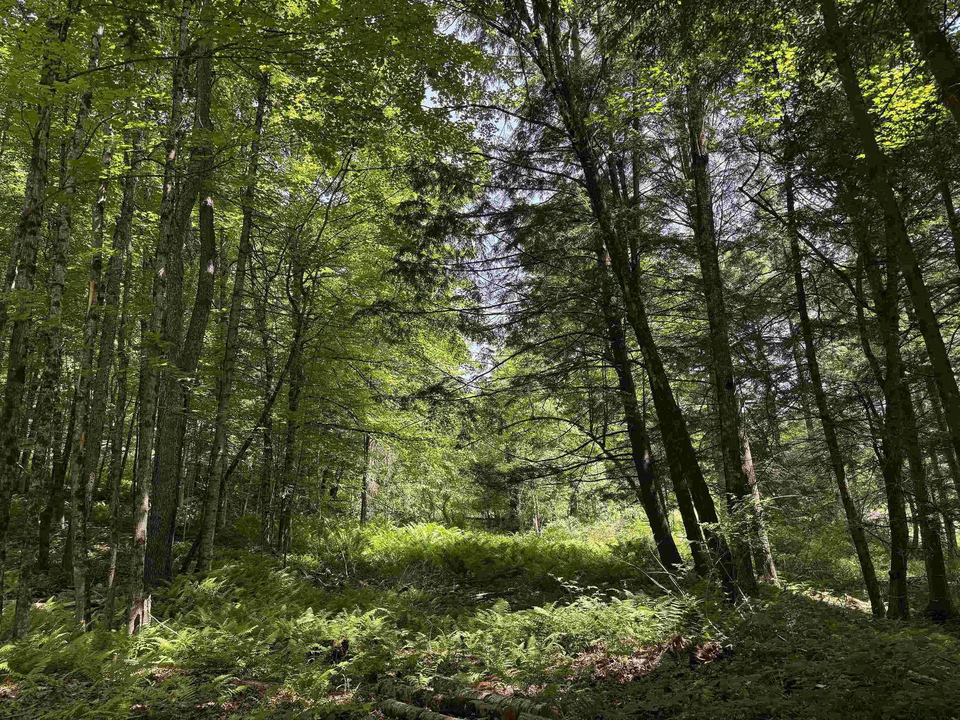 00 Vt Route 14 East Montpelier VT 05651