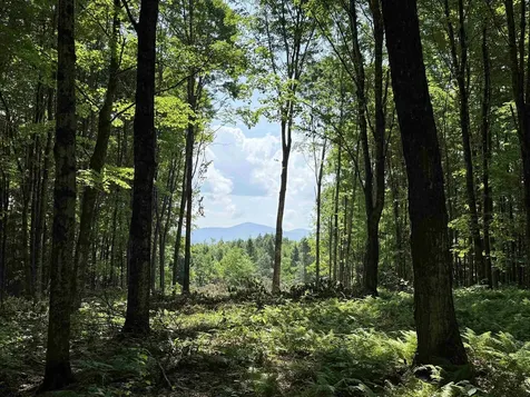 00 Vt Route 14 East Montpelier VT 05651