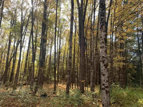 00 Vt Route 14 East Montpelier VT 05651