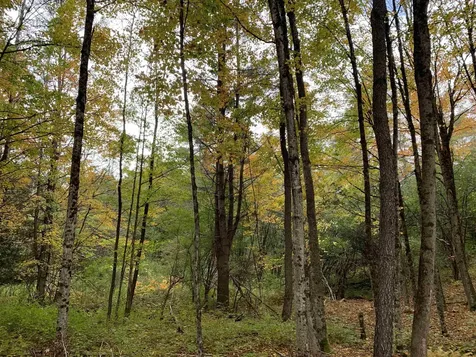 00 Vt Route 14 East Montpelier VT 05651