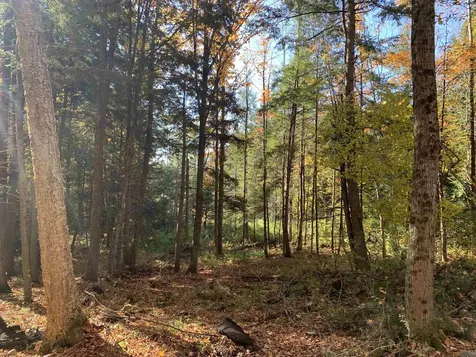 00 Vt Route 14 East Montpelier VT 05651