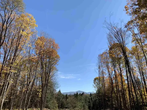 00 Vt Route 14 East Montpelier VT 05651