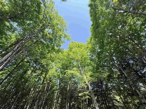 00 Vt Route 14 East Montpelier VT 05651