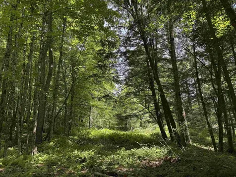 00 Vt Route 14 East Montpelier VT 05651