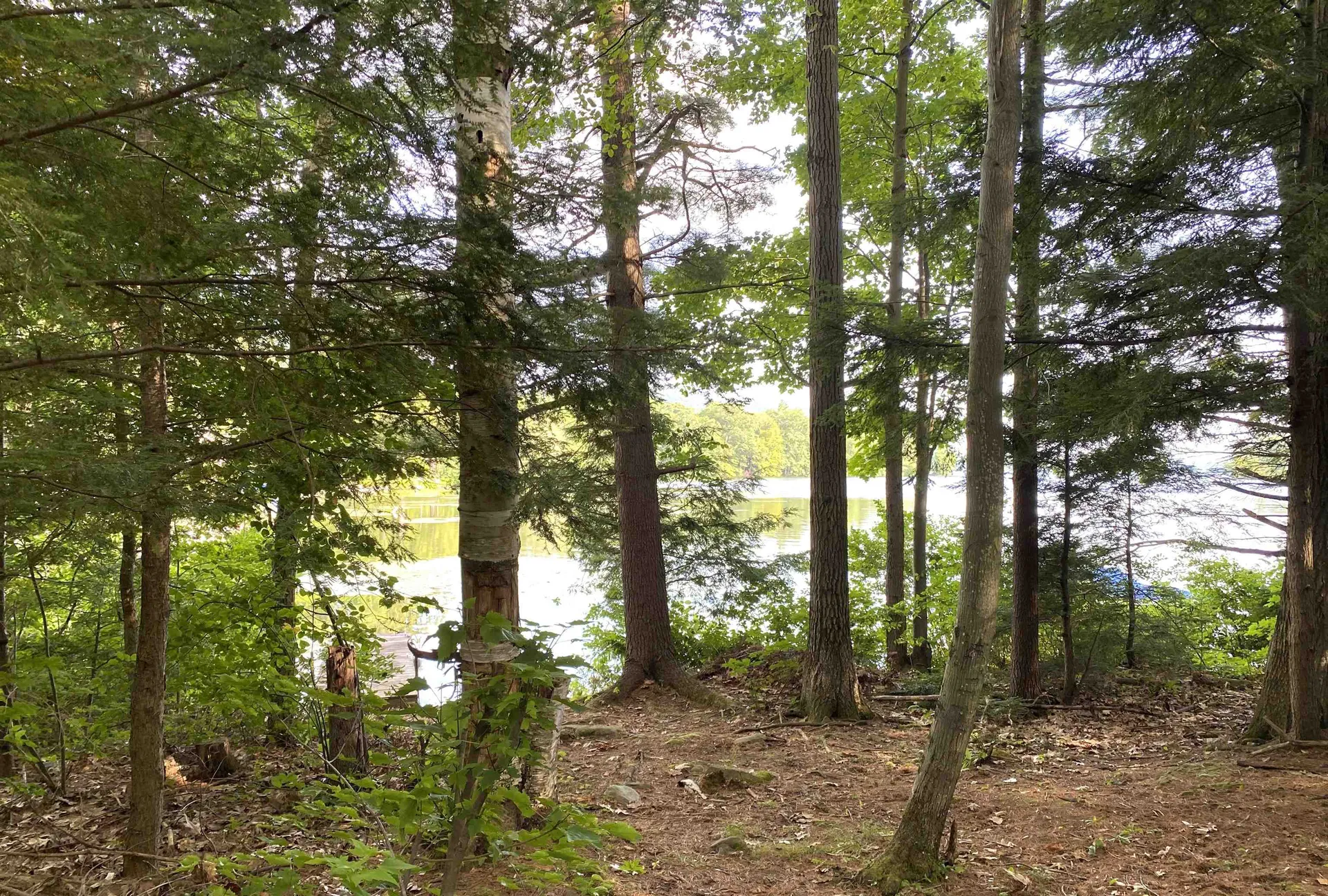 1957 Lake Dunmore Road Salisbury VT 05769