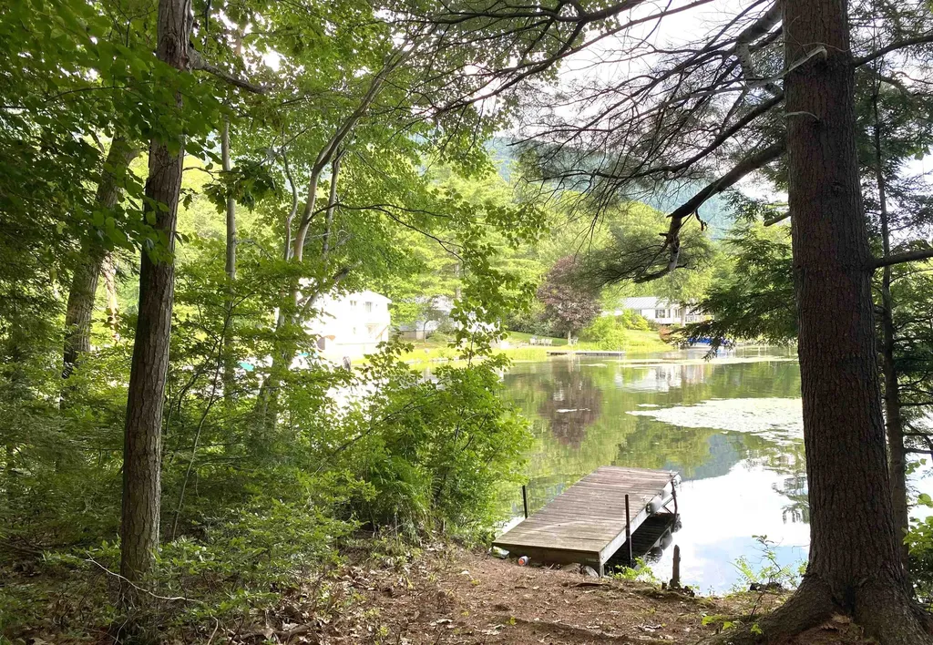 1945 Lake Dunmore Road Salisbury VT 05769