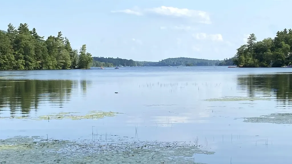 1945 Lake Dunmore Road Salisbury VT 05769