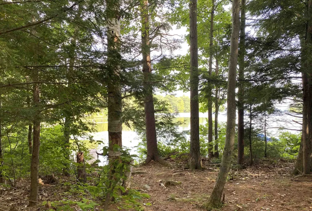 1945 Lake Dunmore Road Salisbury VT 05769