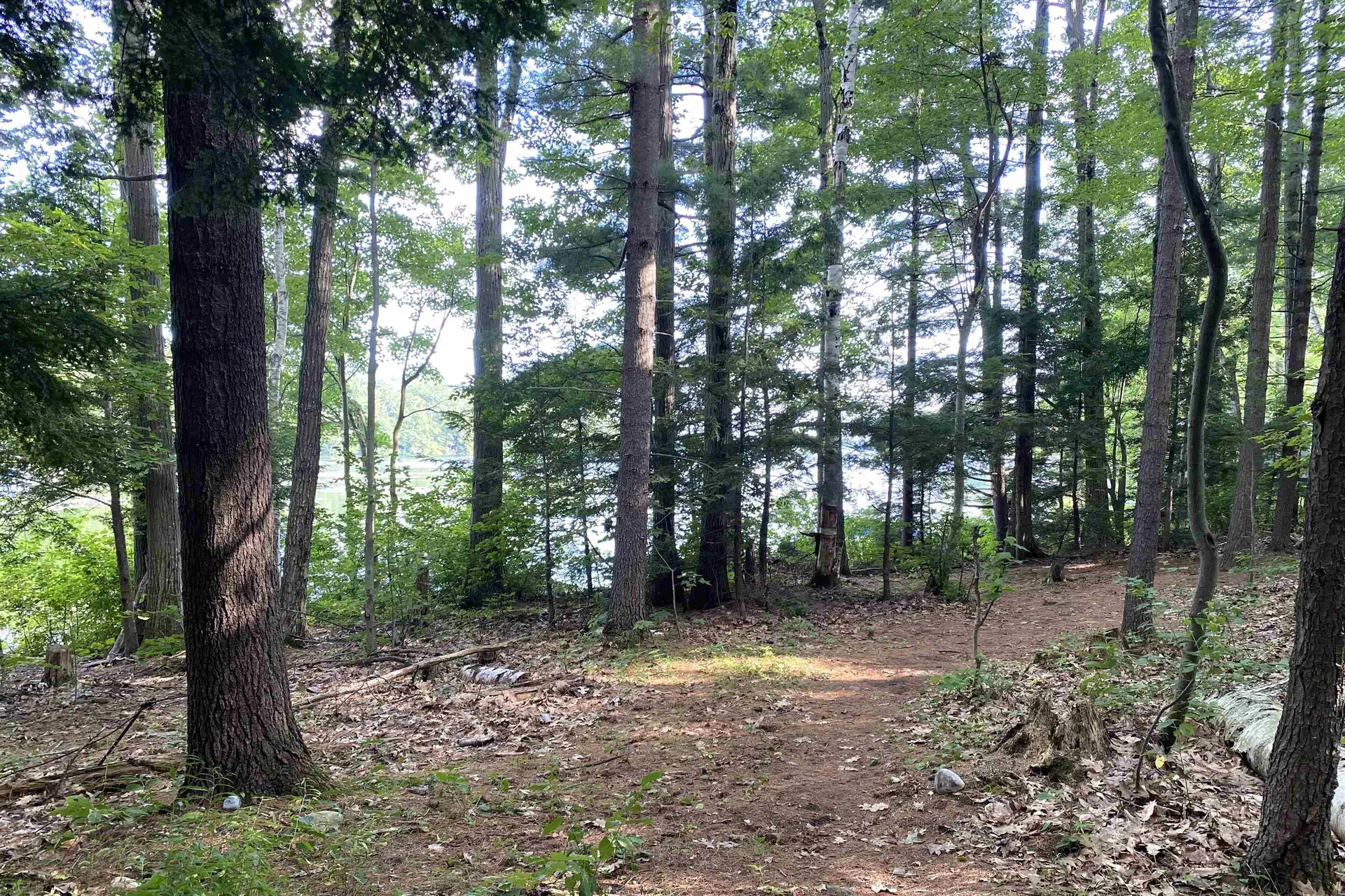 1945 Lake Dunmore Road Salisbury VT 05769