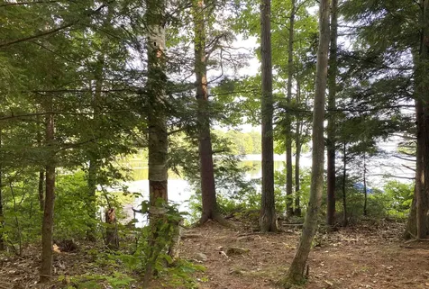 1945 Lake Dunmore Road Salisbury VT 05769