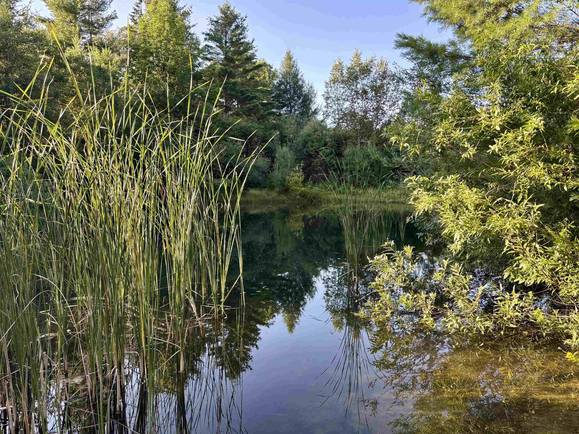 915 Maple Hill Road Barton VT 05822