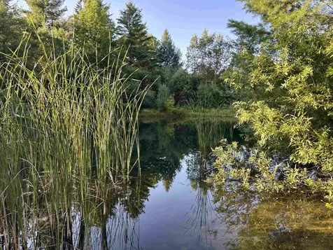 915 Maple Hill Road Barton VT 05822