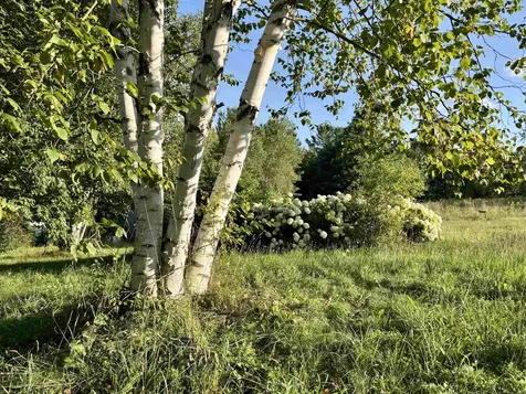 915 Maple Hill Road Barton VT 05822