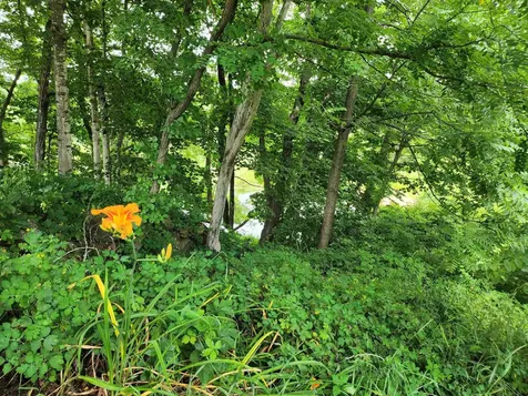 126 Meredith Center Road Road Meredith NH 03253