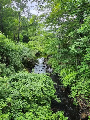 126 Meredith Center Road Road Meredith NH 03253