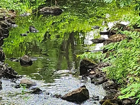 126 Meredith Center Road Road Meredith NH 03253