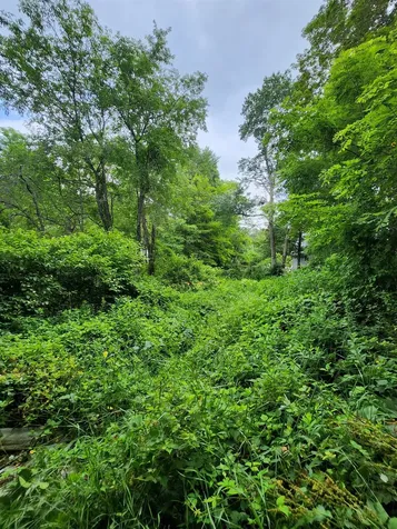 126 Meredith Center Road Road Meredith NH 03253