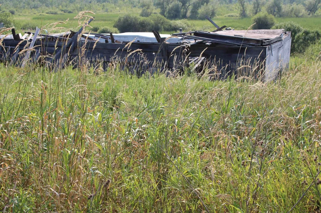 1712 Route 22a Shoreham VT 05770