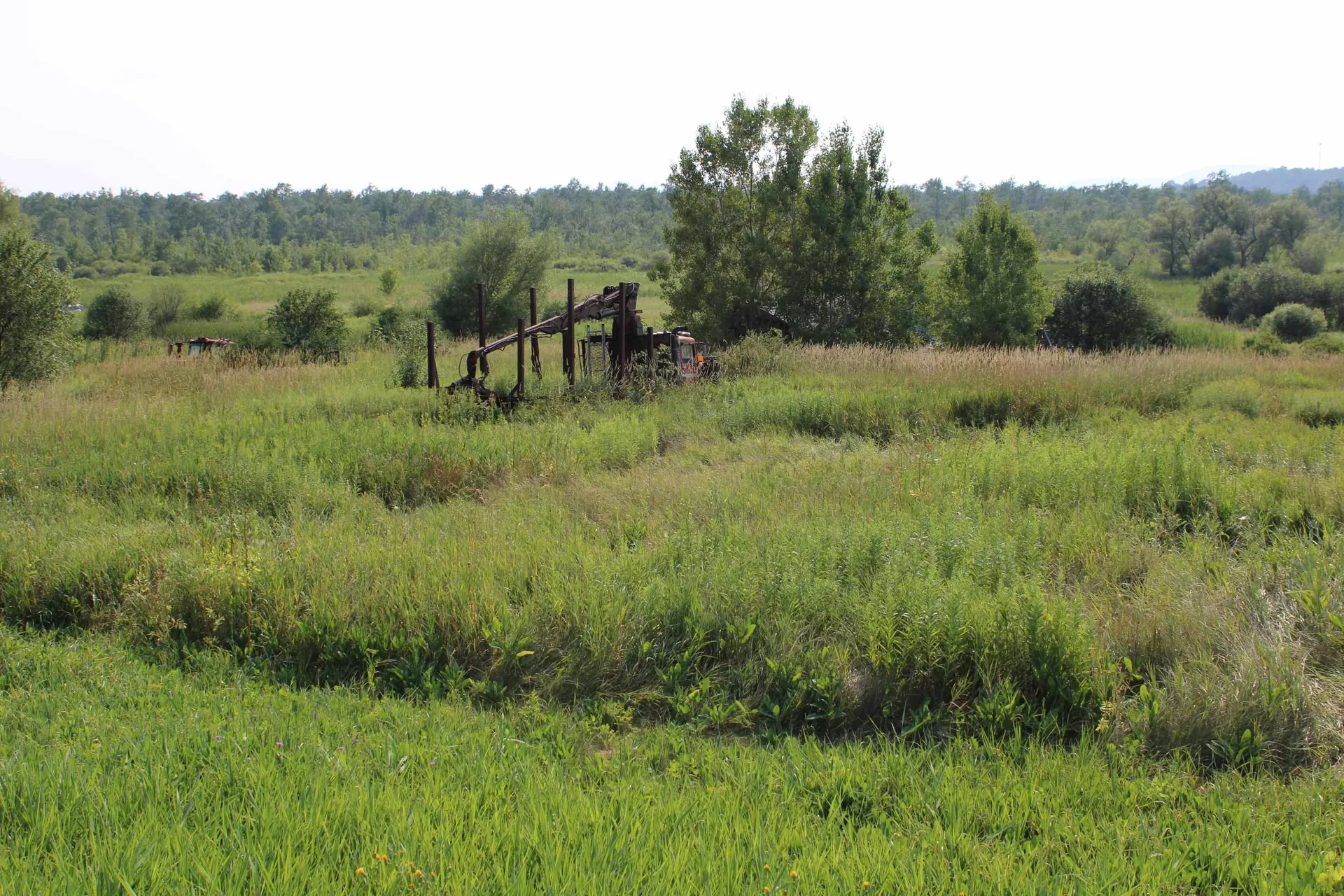 1712 Route 22a Shoreham VT 05770