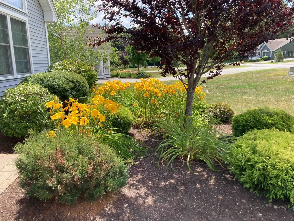 11 Three Ponds Drive Brentwood NH 03833