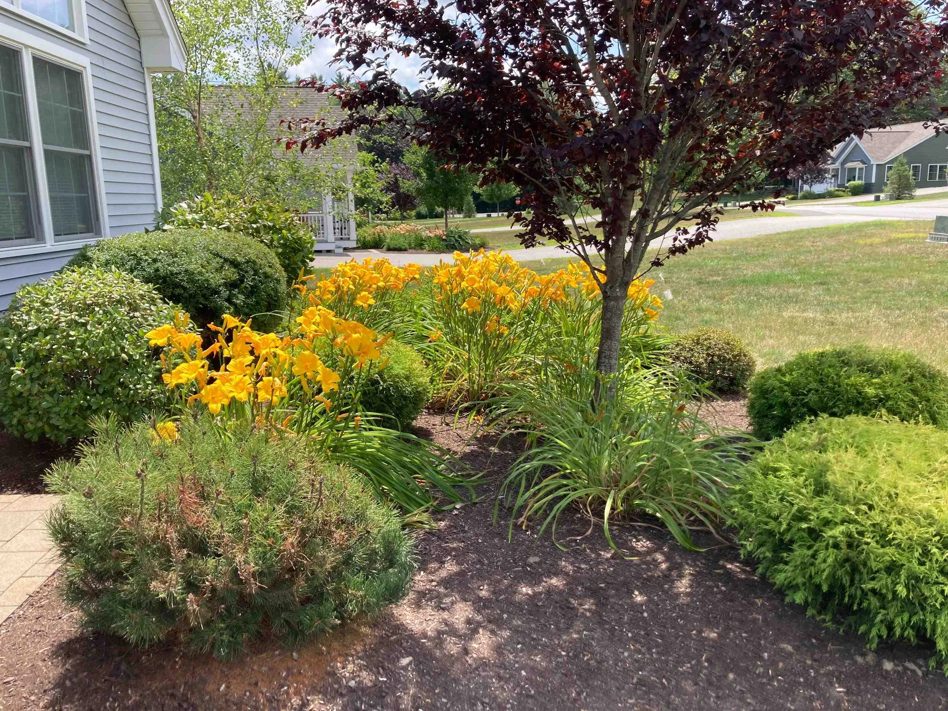 11 Three Ponds Drive Brentwood NH 03833