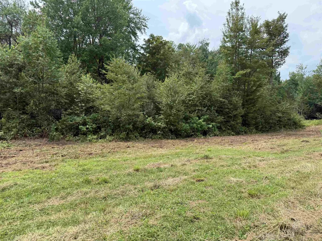 00 Lovely Road Cabot VT 05658