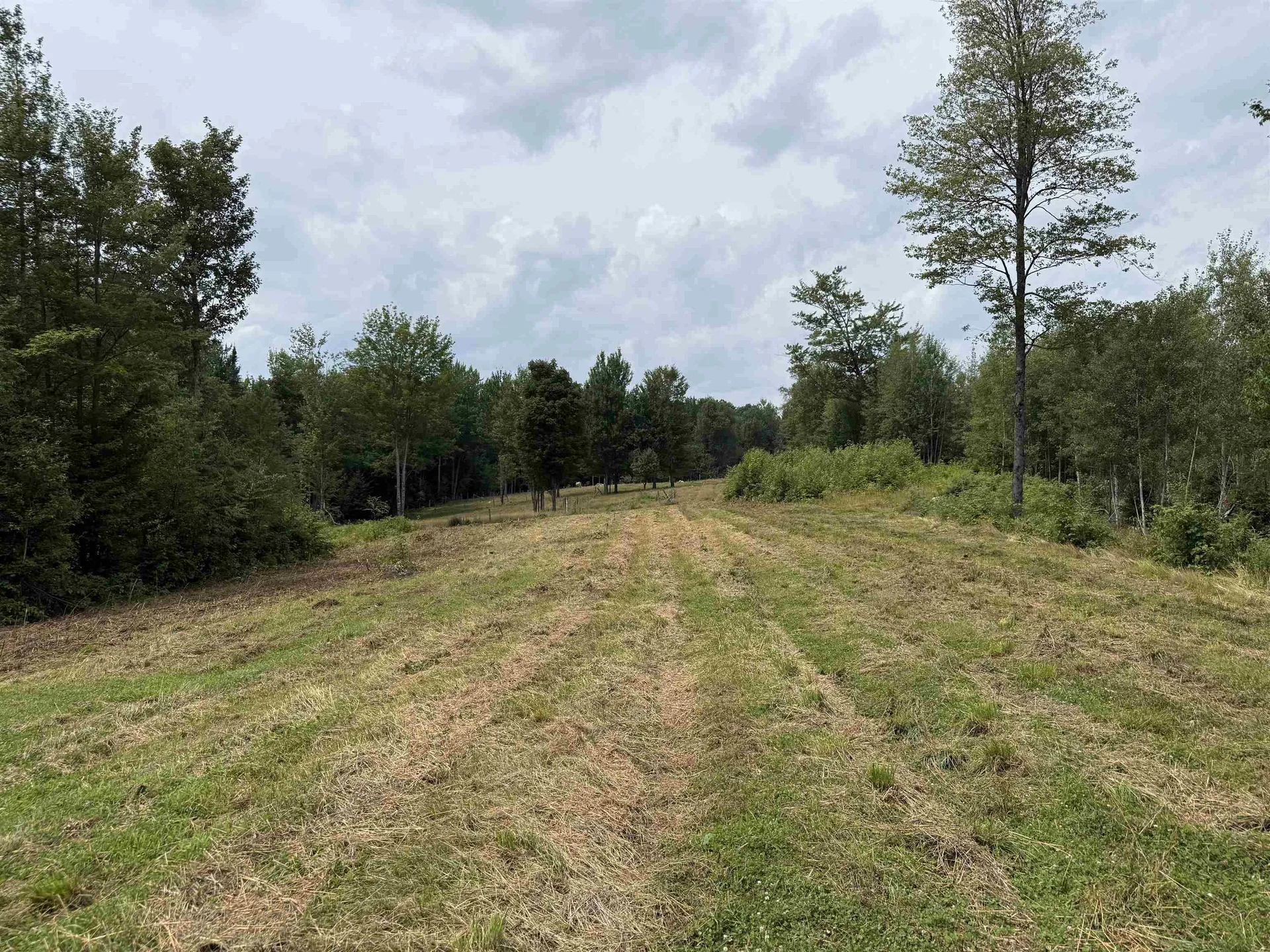 00 Lovely Road Cabot VT 05658