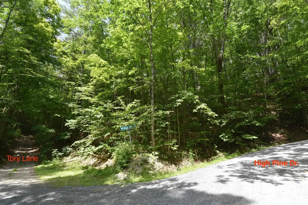 0 High Pine Drive Arlington VT 05250