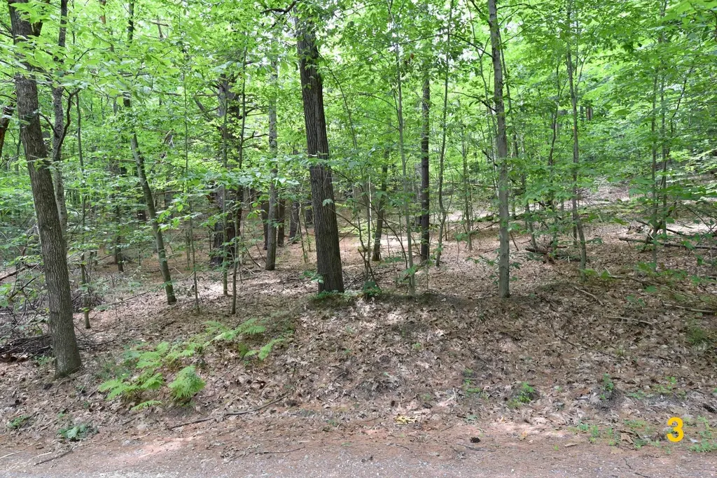 0 High Pine Drive Arlington VT 05250