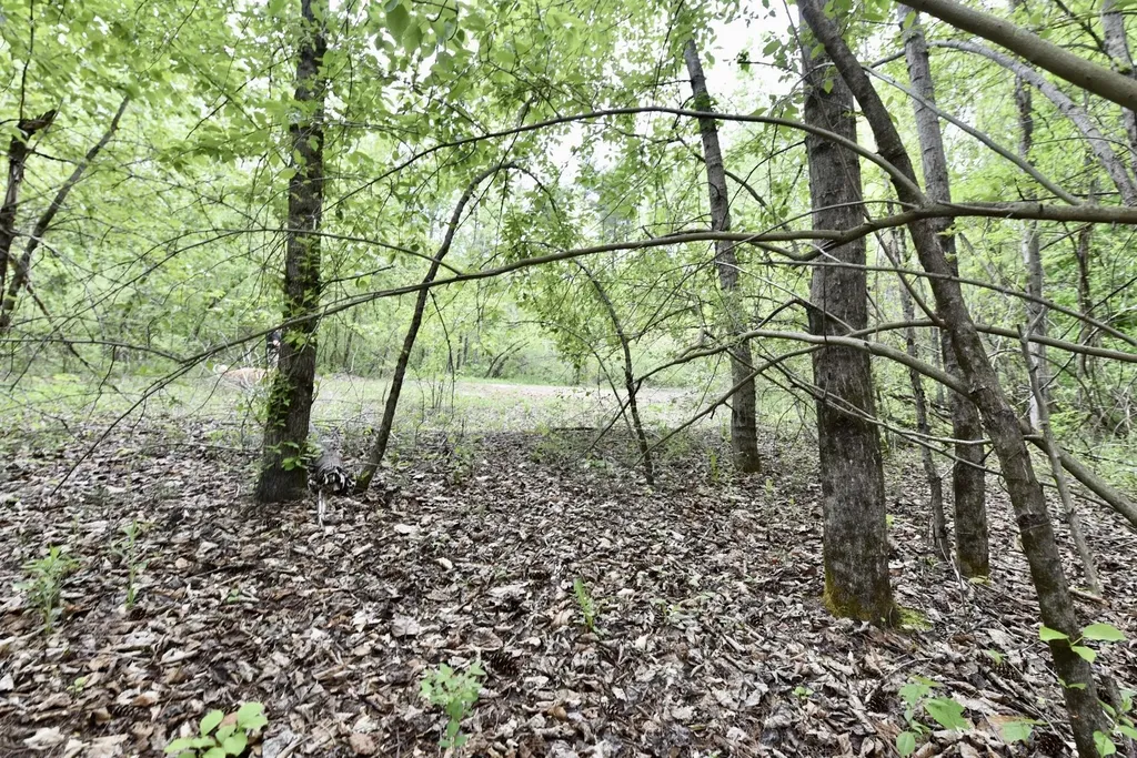 0 High Pine Drive Arlington VT 05250