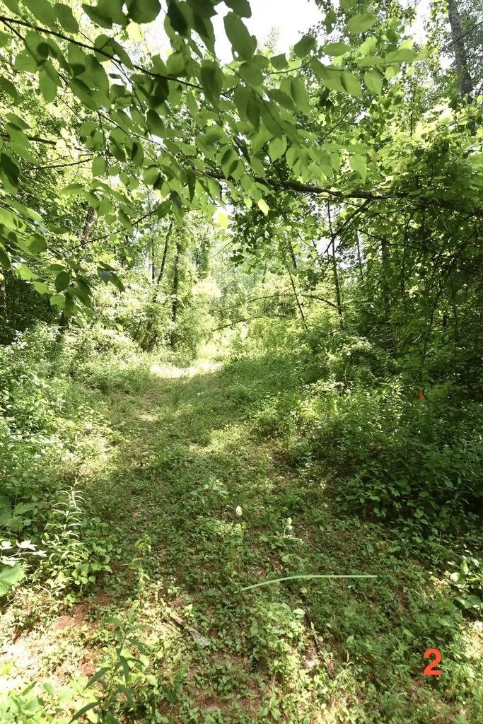 0 High Pine Drive Arlington VT 05250