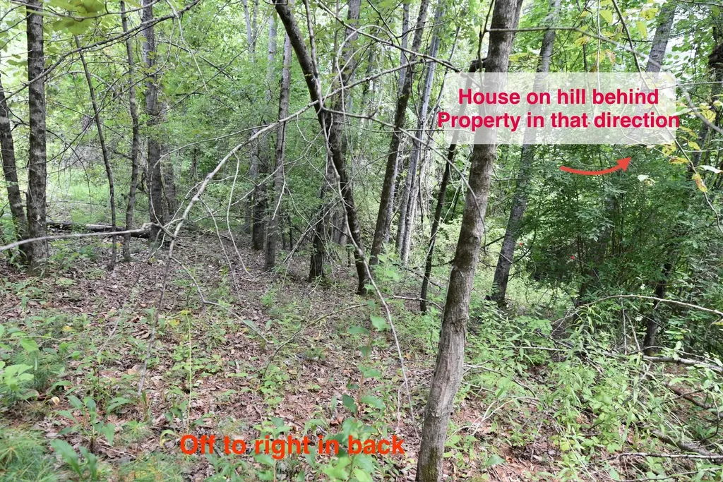 0 High Pine Drive Arlington VT 05250