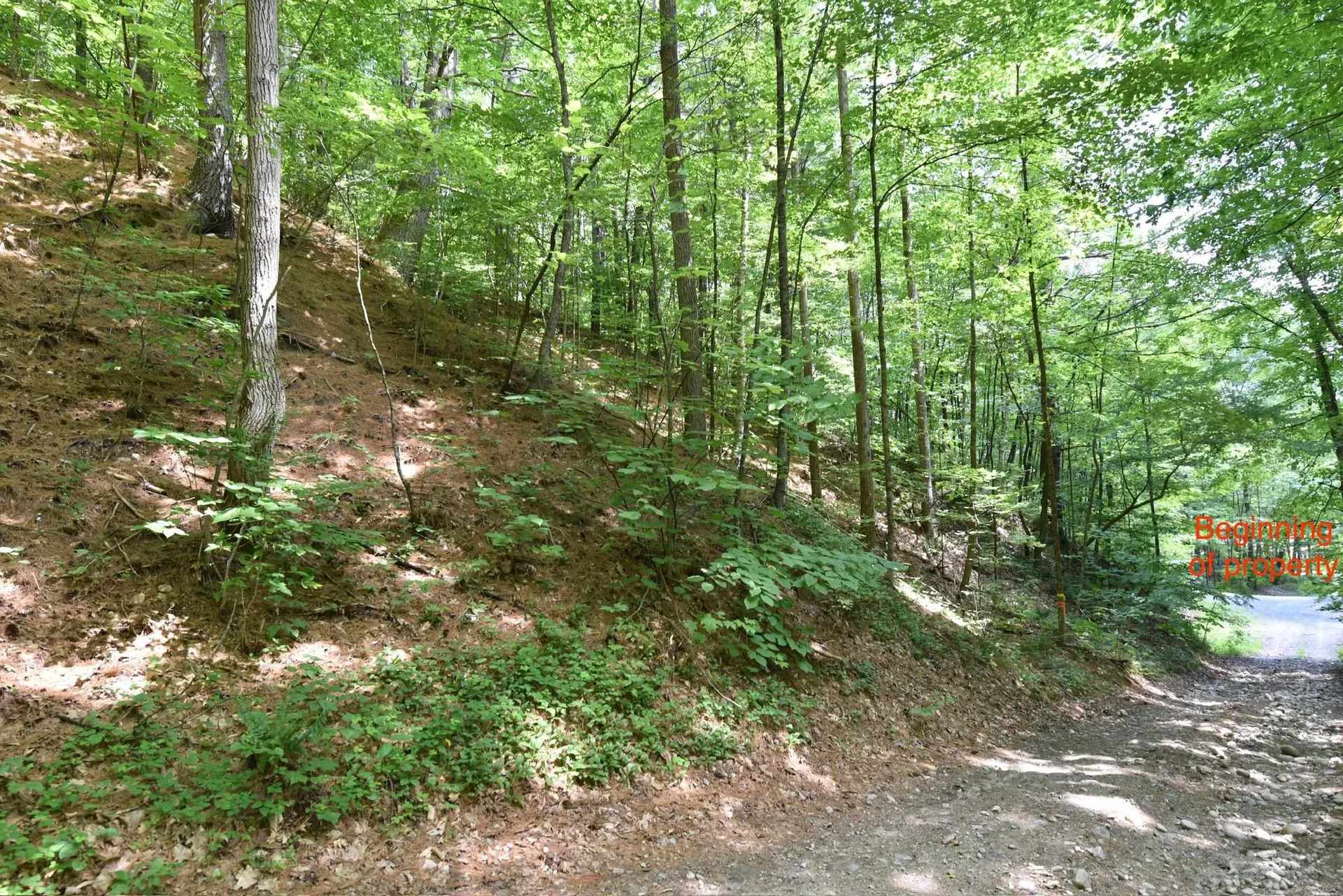 0 High Pine Drive Arlington VT 05250