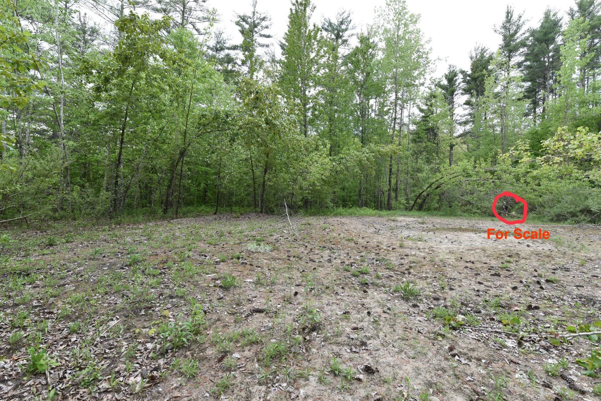 0 High Pine Drive Arlington VT 05250