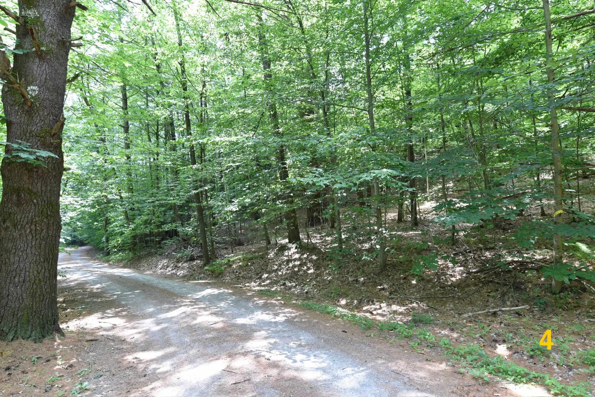 0 High Pine Drive Arlington VT 05250