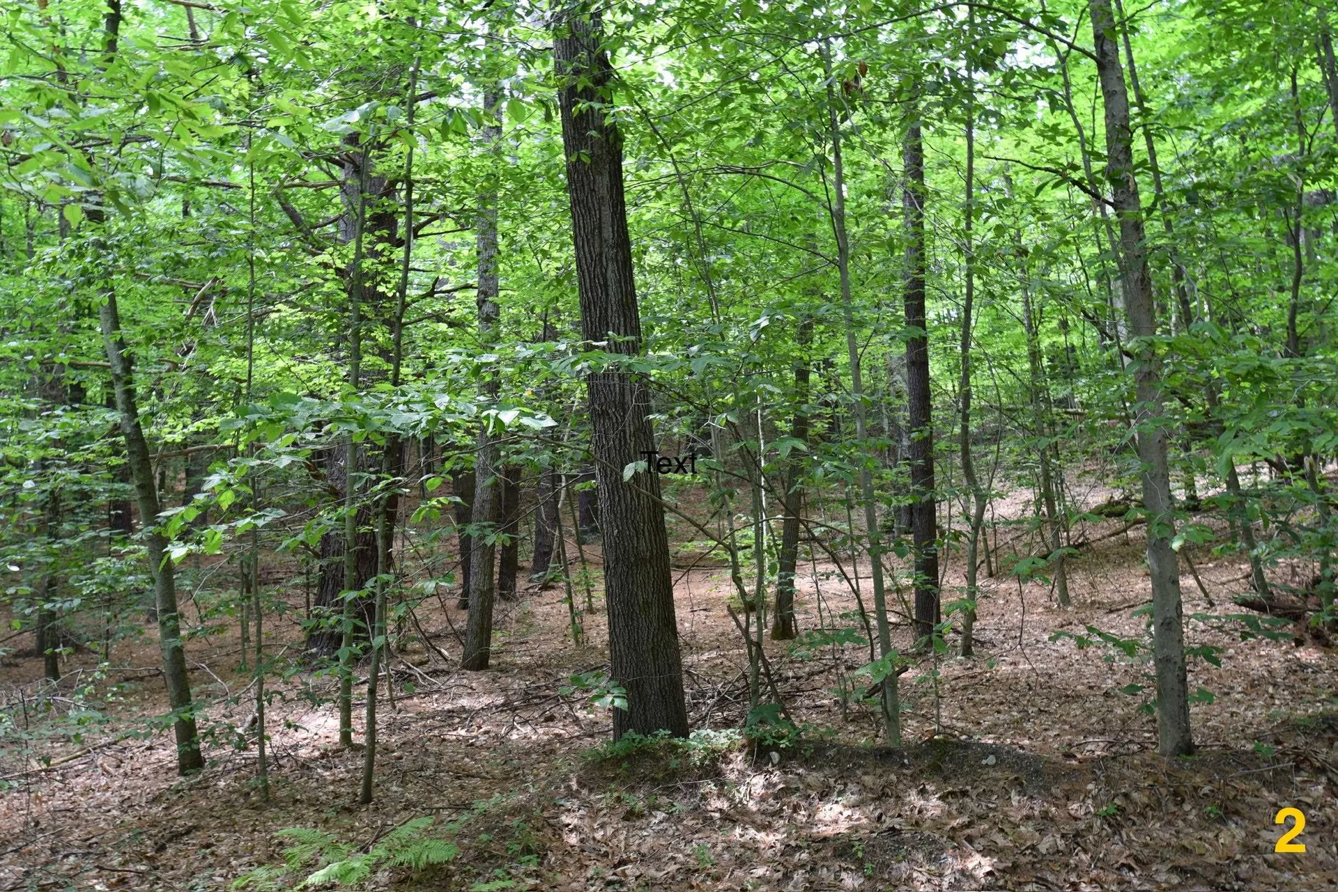 0 High Pine Drive Arlington VT 05250