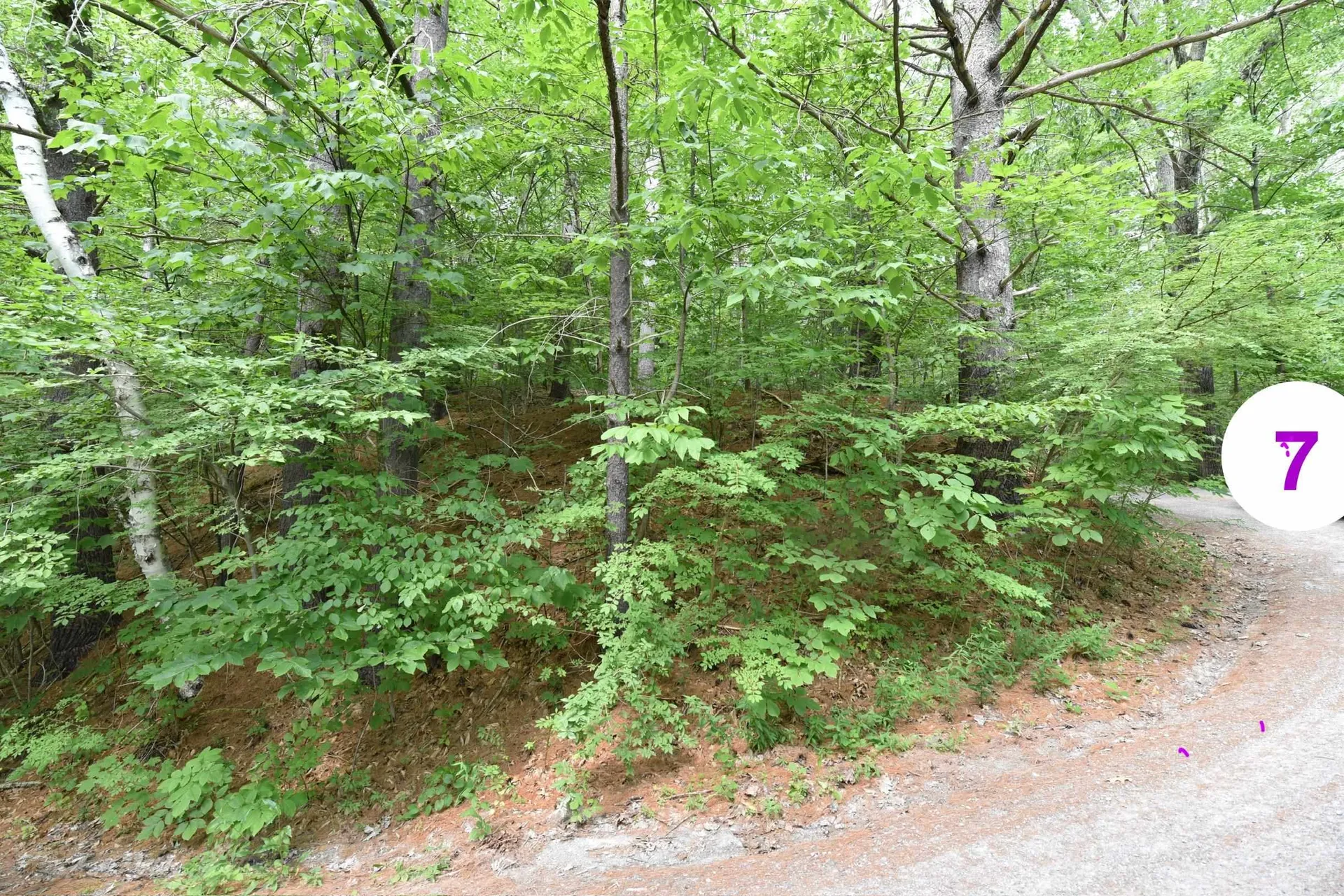 0 High Pine Drive Arlington VT 05250