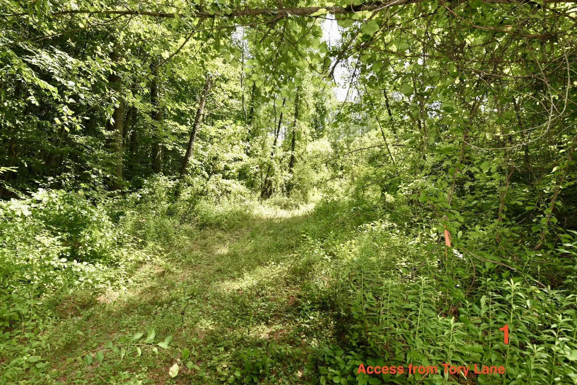 0 High Pine Drive Arlington VT 05250