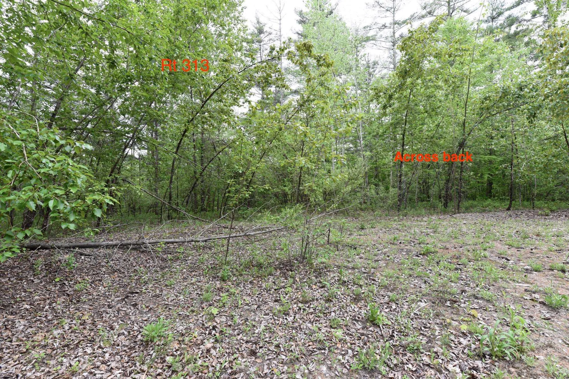 0 High Pine Drive Arlington VT 05250