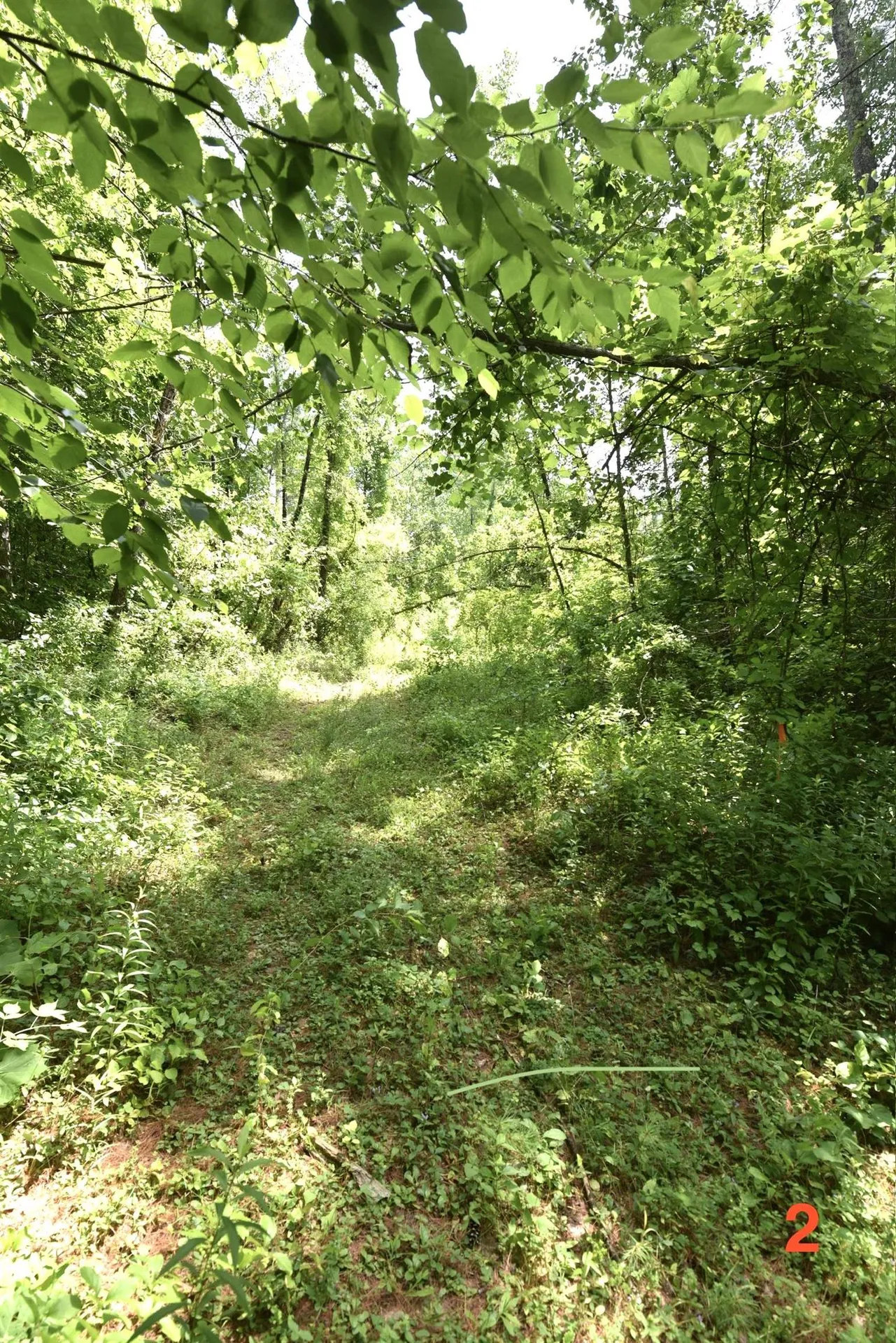 0 High Pine Drive Arlington VT 05250