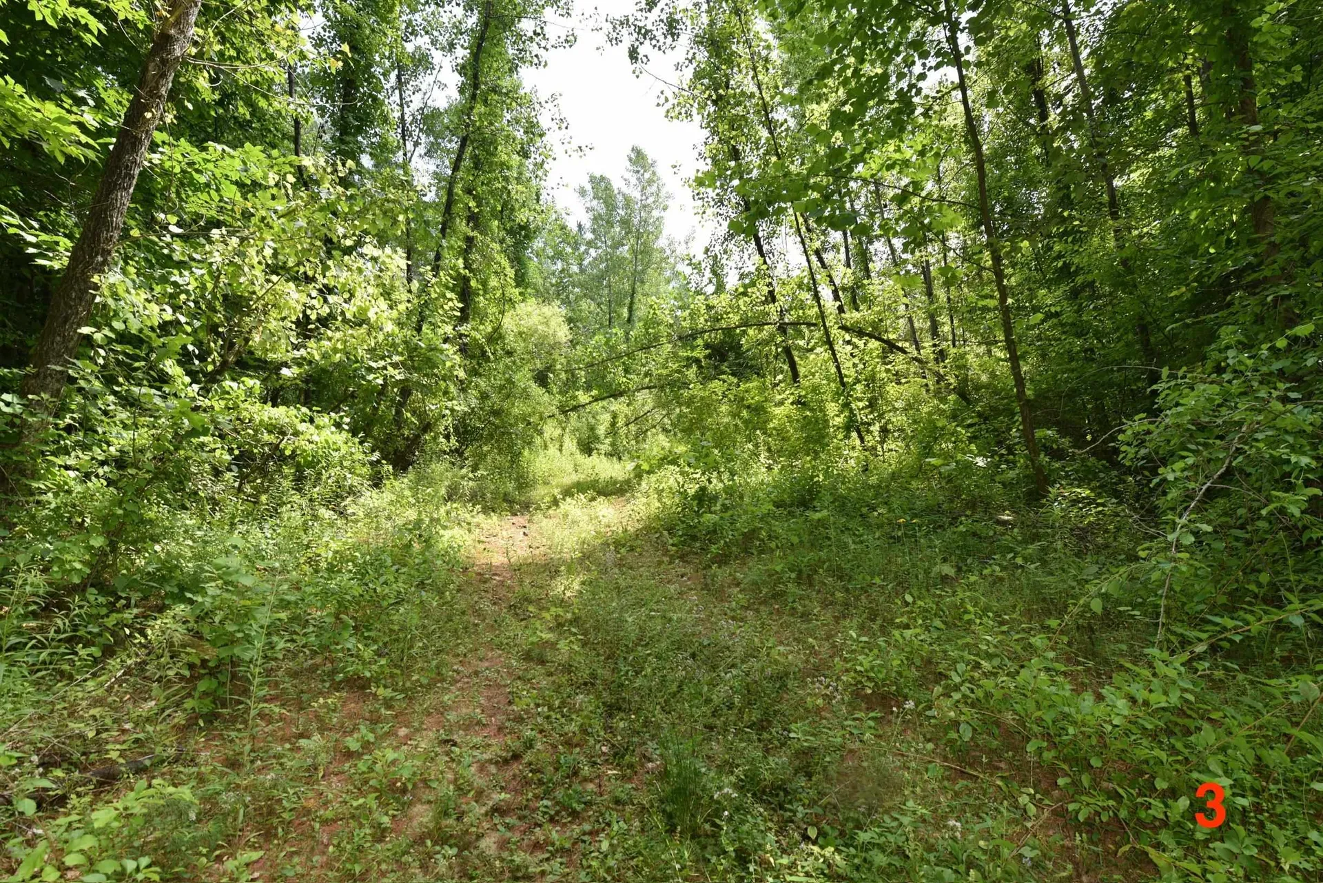 0 High Pine Drive Arlington VT 05250