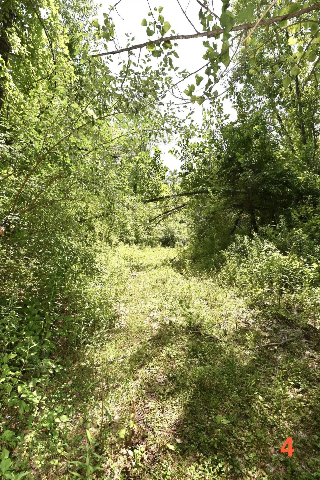 0 High Pine Drive Arlington VT 05250